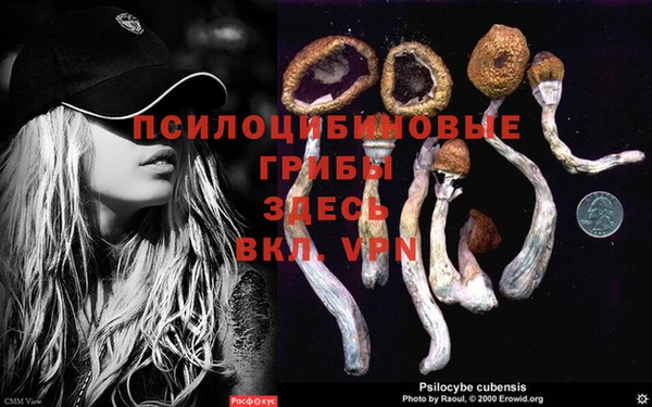 mix Горняк