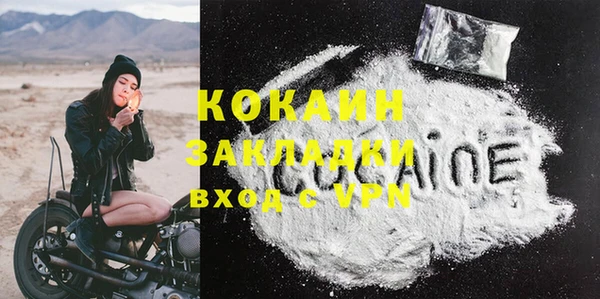 PSILOCYBIN Горно-Алтайск