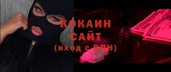 PSILOCYBIN Горно-Алтайск