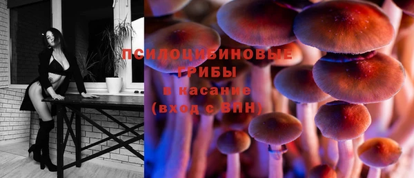 mix Горняк